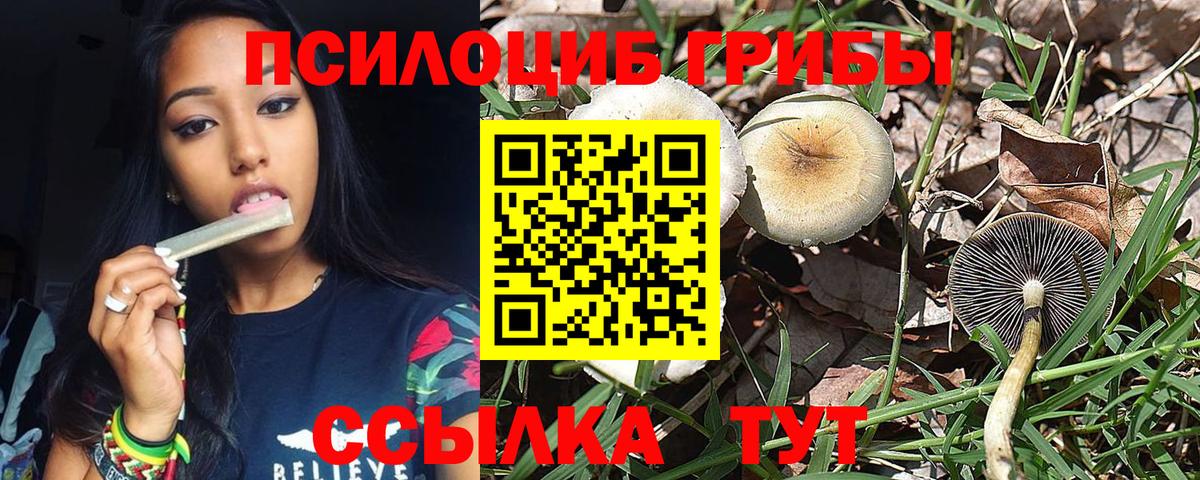 Псилоцибиновые грибы мицелий Уссурийск